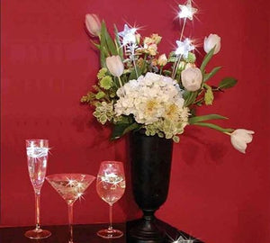 Put a party in your glass with waterproof Star Lites. Come 12 to a box for $21.00. Great for any event.